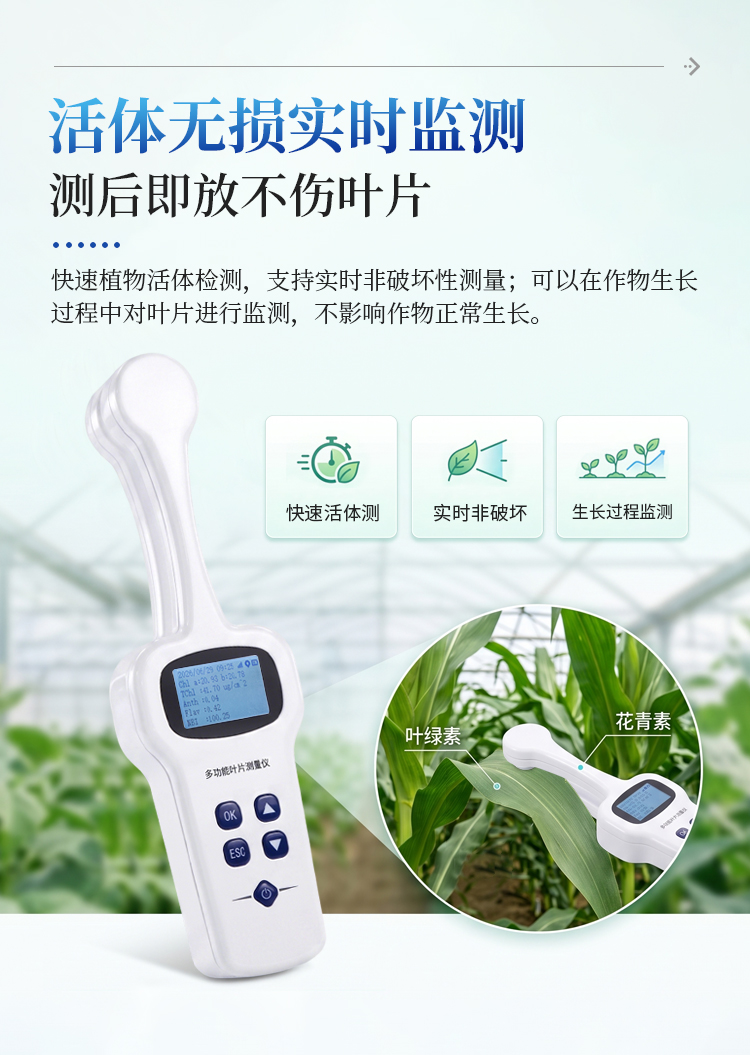 植物叶绿素&多酚测量仪