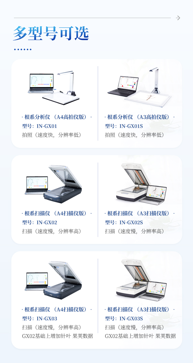根系分析系统