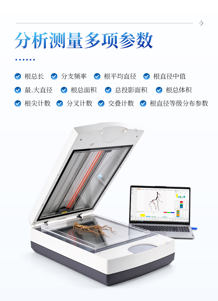 根系分析系统