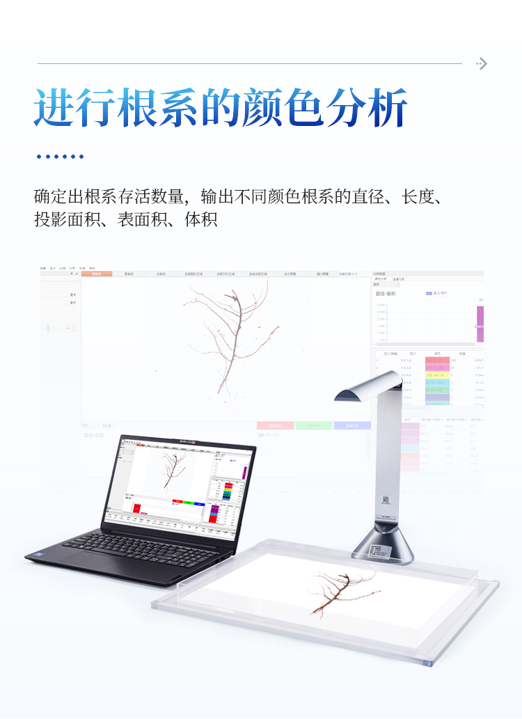 根系分析系统