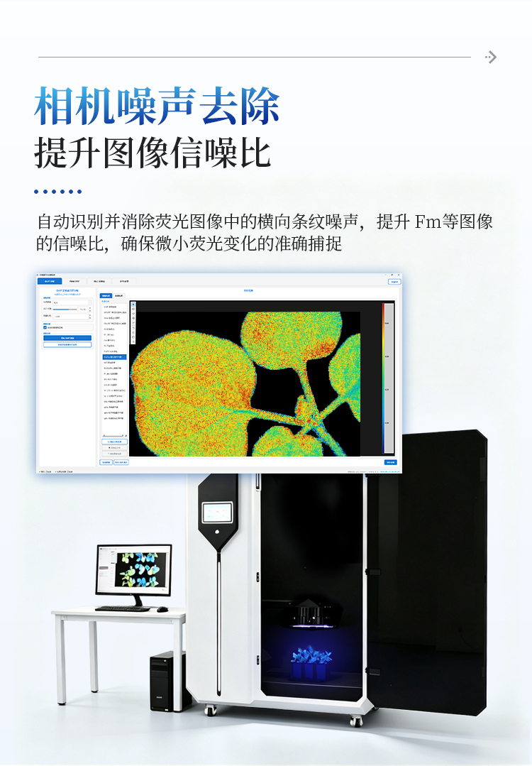 叶绿素荧光成像仪
